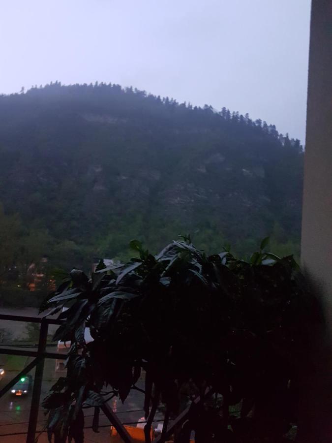 Villa Beridze Borjomi Exterior photo